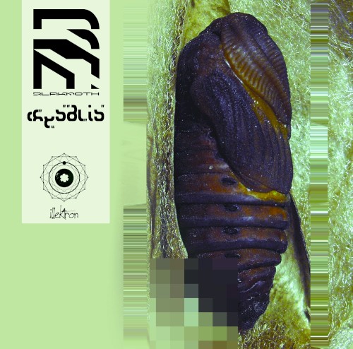 CHRYSALIS