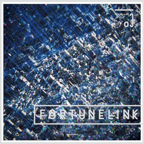 FORTUNE LINK 03