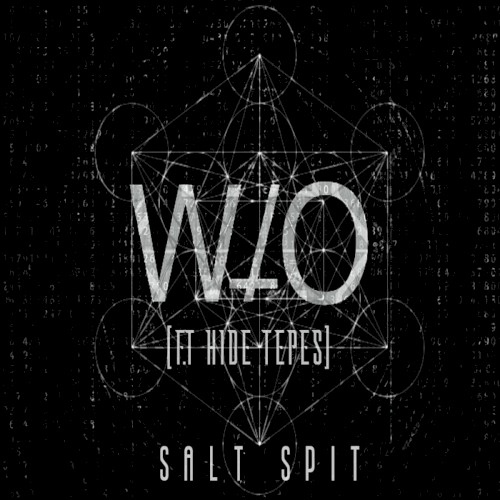 SALT SPIT