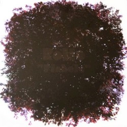 Pinhole