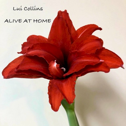 Alive at Home