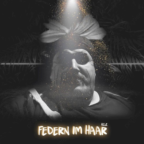 Federn im Haar