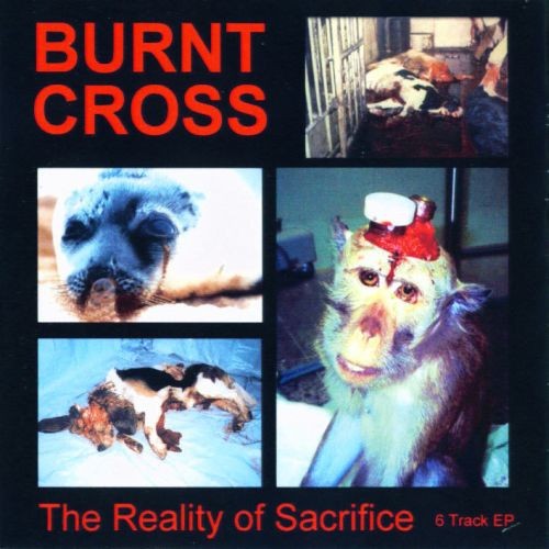 The Reality of Sacrifice