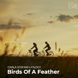 Birds of a Feather (cover)