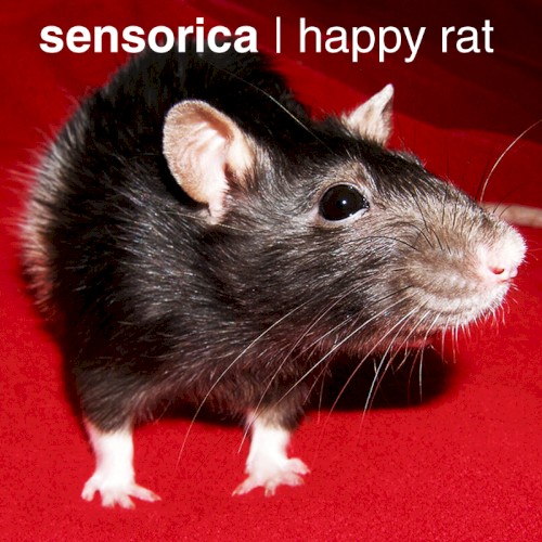 Happy Rat