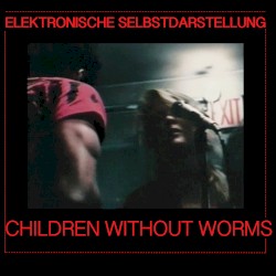 ELEKTRONISCHE SELBSTDARSTELLUNG
