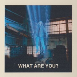 What Are You?
