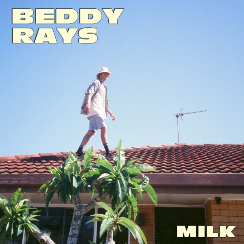 Milk