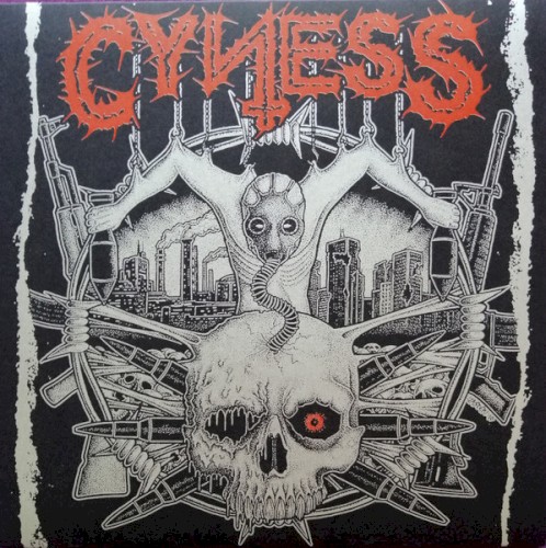 Cyness / P.L.F.
