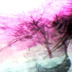 a dream about a girl