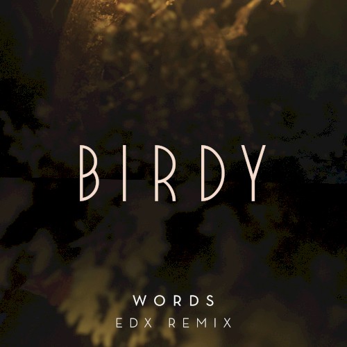 Words (EDX remix)