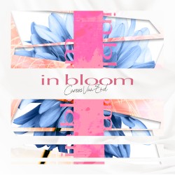 in bloom