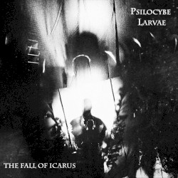 The Fall of Icarus