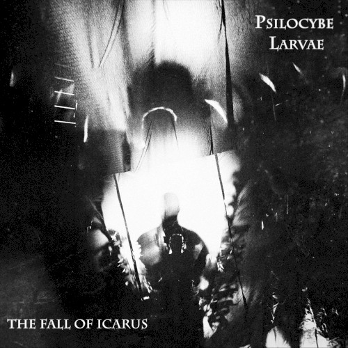 The Fall of Icarus