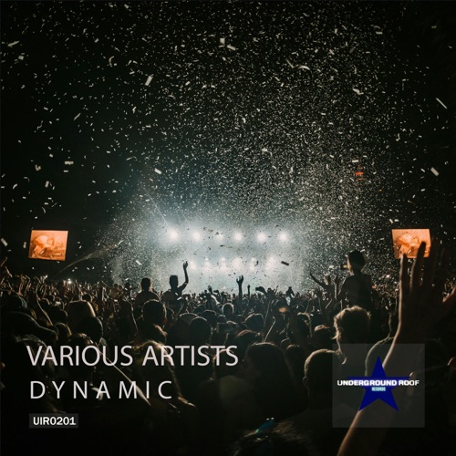 Dynamic House: Edition Three