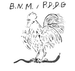 B.N.M. / P.D.D.G.