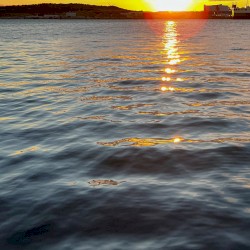 From the lakeside, As the slight lights