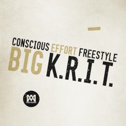 Conscious Effort Freestyle