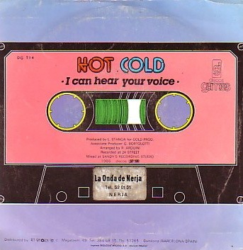 I Can Hear Your Voice