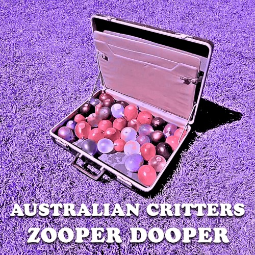 Zooper Dooper