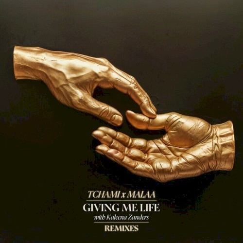 Giving Me Life (TS7 remix)