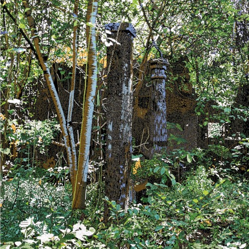 Salos