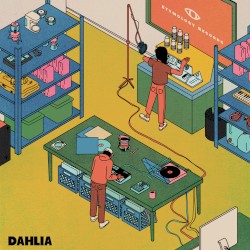 Dahlia
