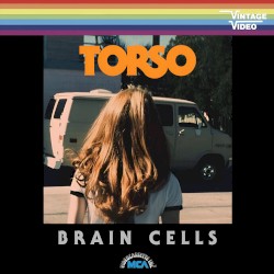 Brain Cells