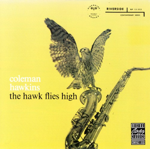 The Hawk Flies High