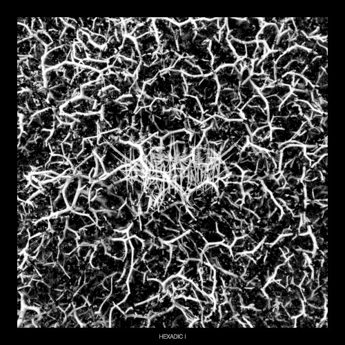 Hexadic I
