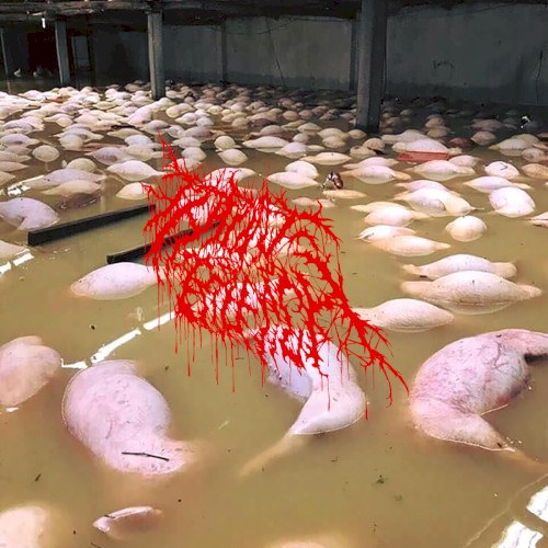 Wormed
