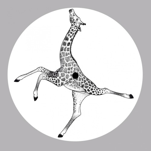 Mimosa Kuriosa