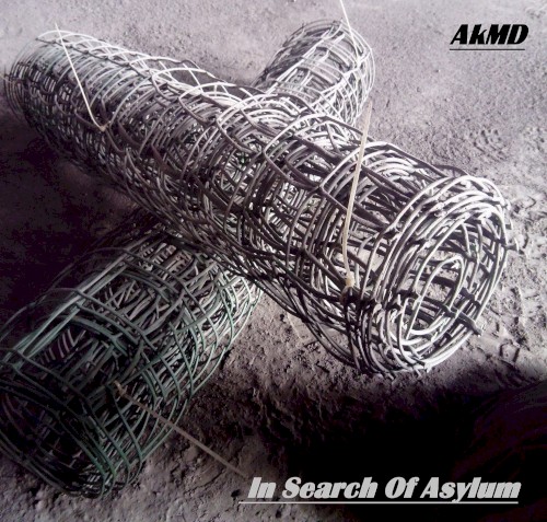 In Search of Asylum