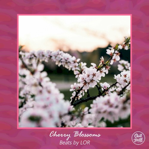 Cherry Blossoms