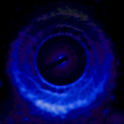 TRANS005