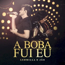 A boba fui eu