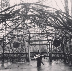 Pendarvis Farm Woods Stage