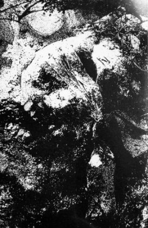 Darkness Enshrouded the Mist / Mons Veneris