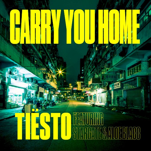 Carry You Home