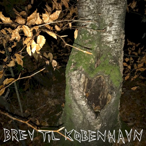 Brev til København