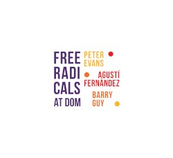 Free Radicals at DOM