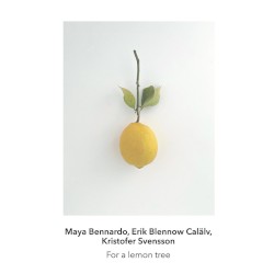 For a Lemon Tree