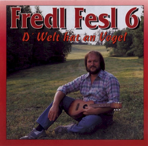 Fredl Fesl 6: D’ Welt hat an Vogel