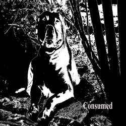 Consumed