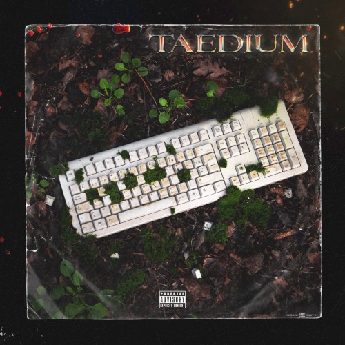 Taedium