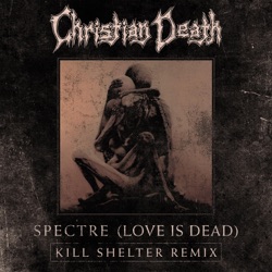 Spectre (Love Is Dead) Kill Shelter Remix