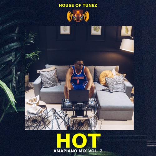 HOT Amapiano Mix Vol. 2 (DJ Mix)