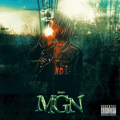 MGN