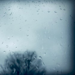 rainy steps