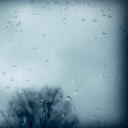 rainy steps